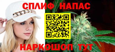 прущие грибы Комсомольск-на-Амуре