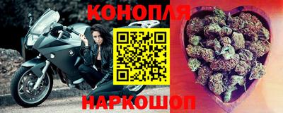 прущие грибы Комсомольск-на-Амуре