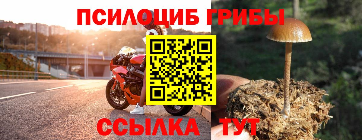 Псилоцибиновые грибы Psilocybine cubensis  Вход с VPN  Волхов 