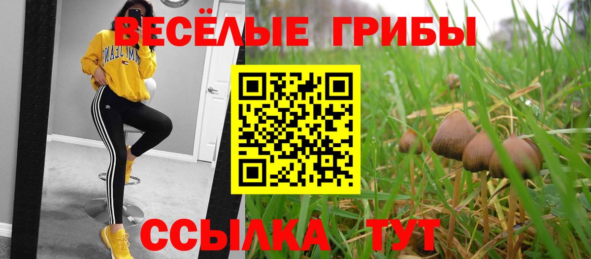 Галлюциногенные грибы Psilocybine cubensis Волхов